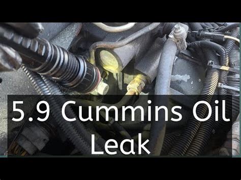 5.9 cummins oil leak driver side|2003